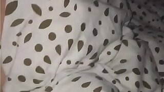 Dutch pussy sleeping spy